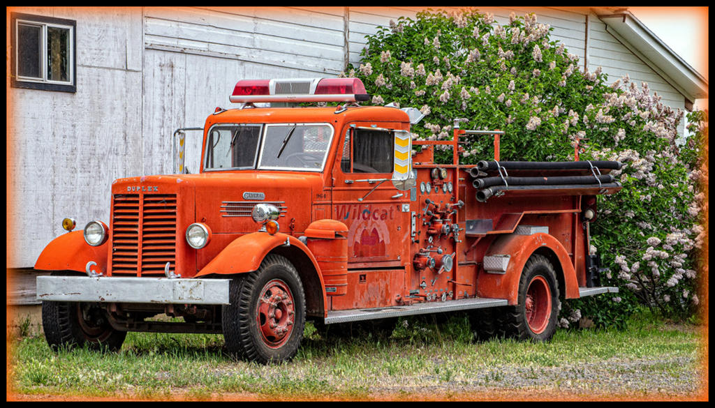 DSC_1245-Edit.jpg