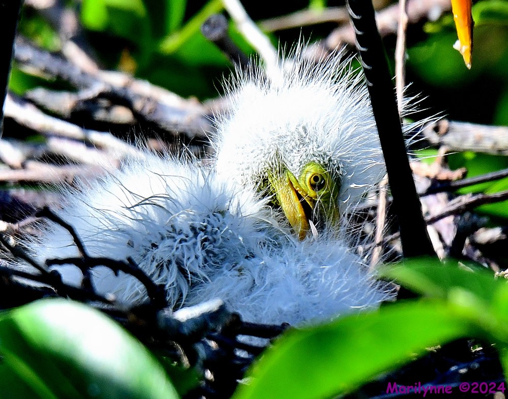 DSC_1249_001.JPG