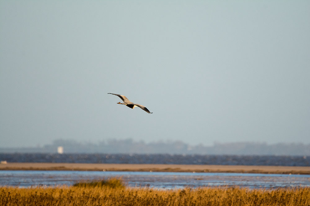 DSC_1250.jpg