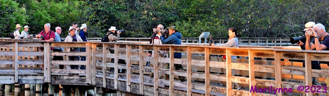 DSC_1252_stitch4_001.JPG