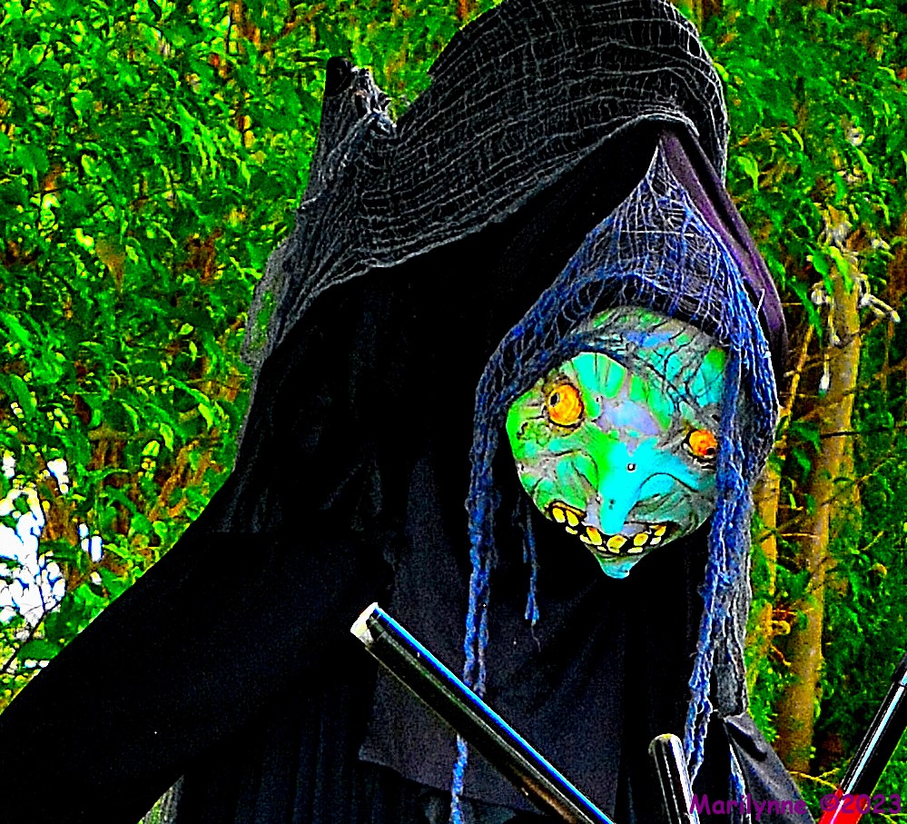 DSC_1254_001.JPG