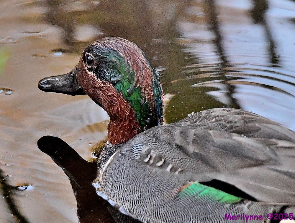 DSC_1259_001.JPG