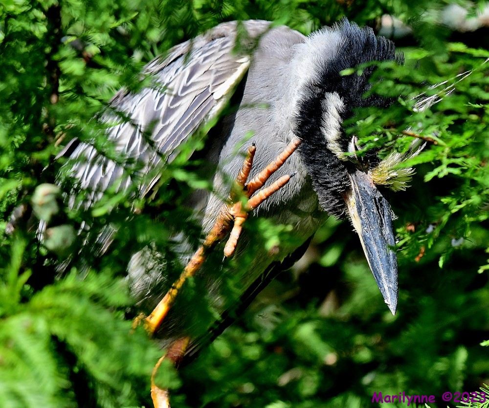 DSC_1260_001.JPG