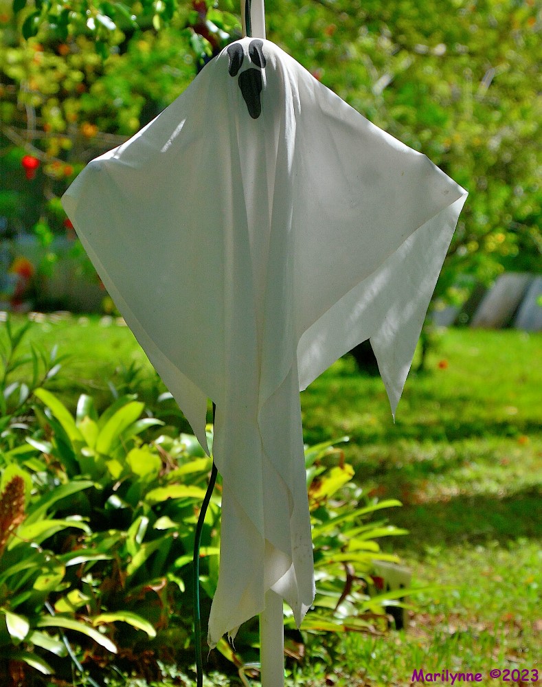 DSC_1264_001.JPG