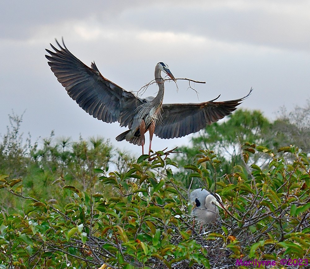 DSC_1267_001.JPG