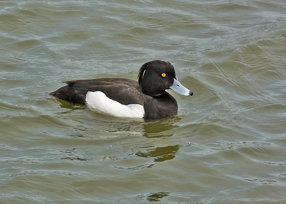 DSC_1269.jpg