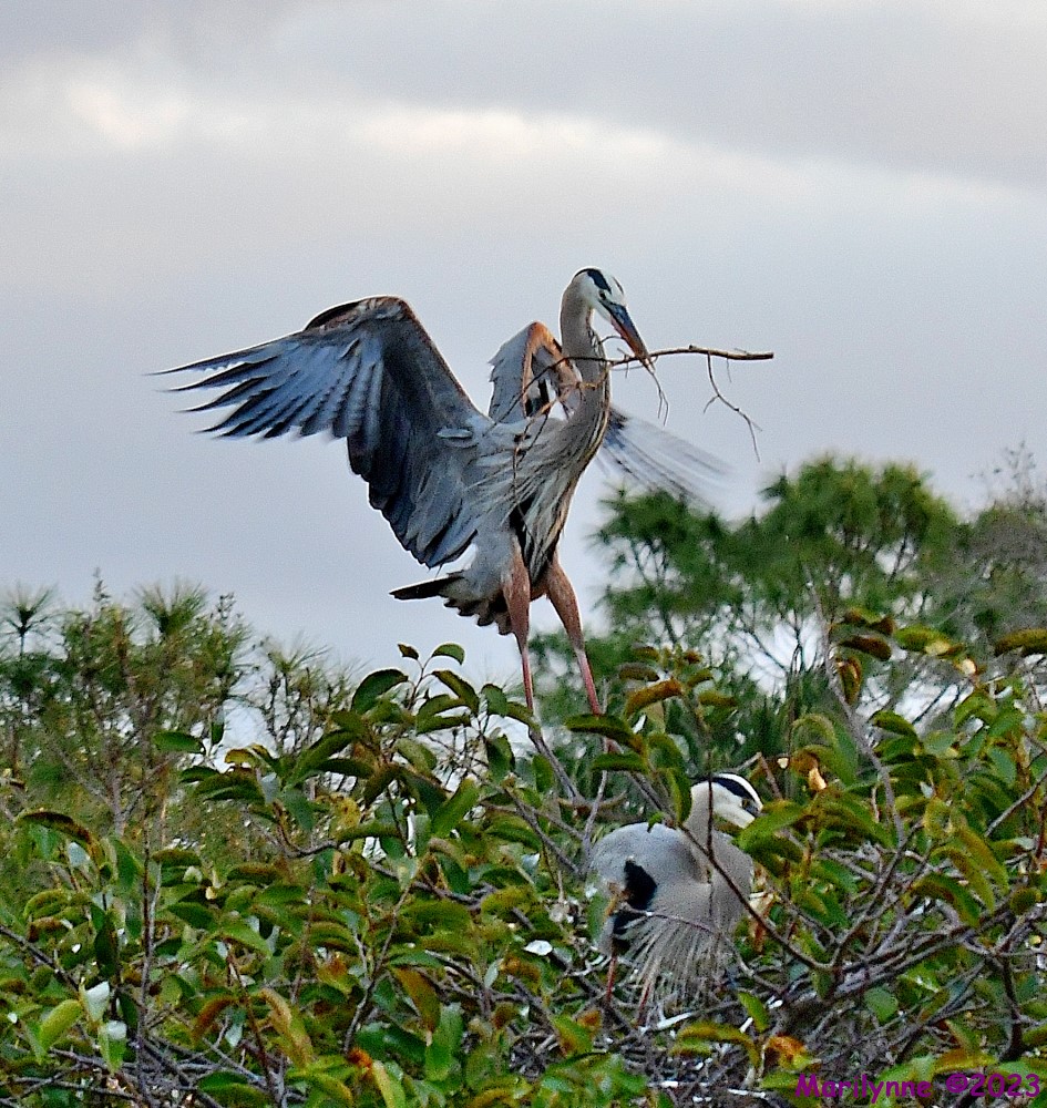 DSC_1269_001.JPG