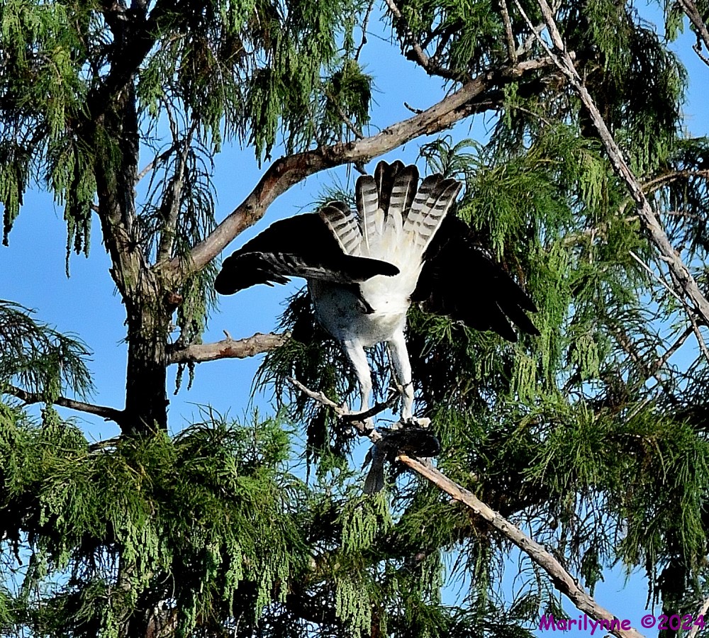 DSC_1270_001.JPG