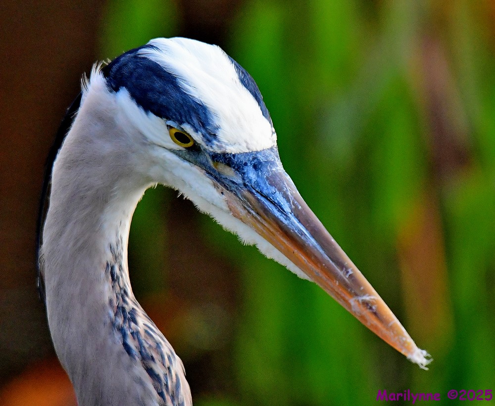 DSC_1270_001.JPG