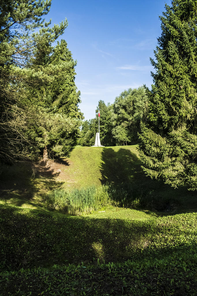DSC_1271.jpg