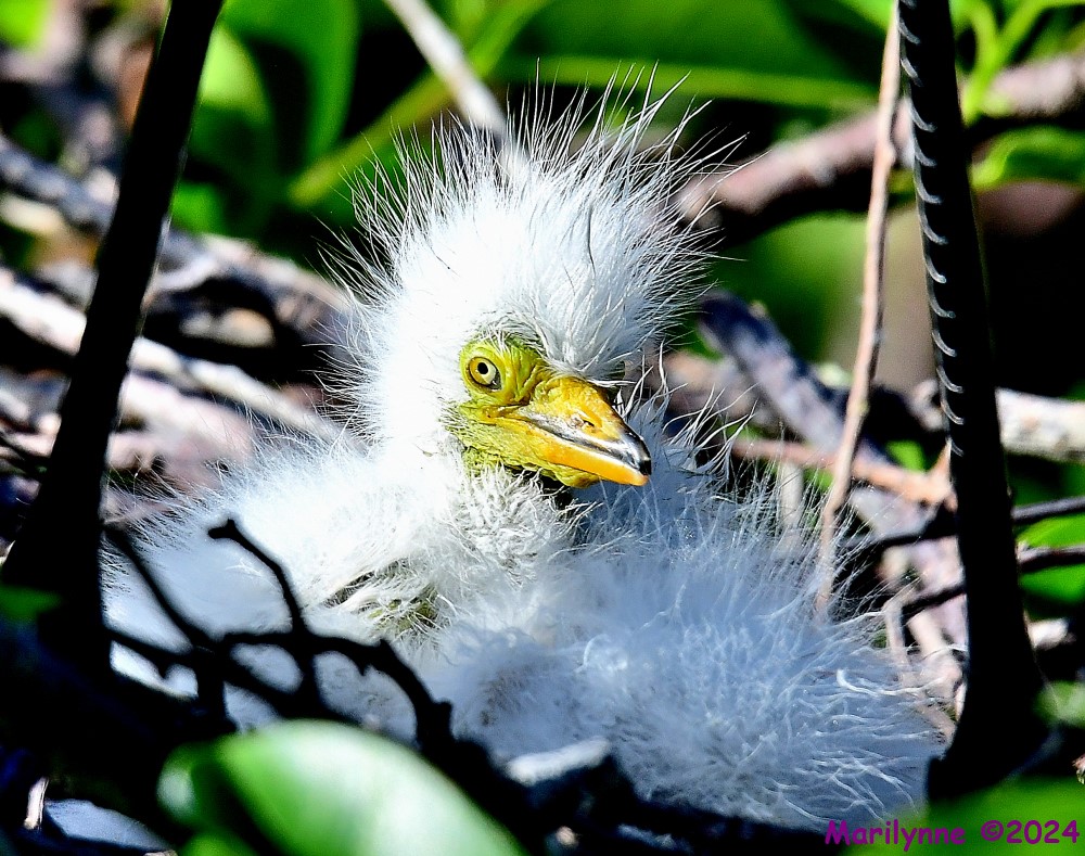 DSC_1273_001.JPG