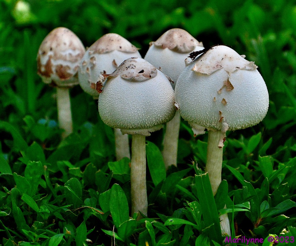 DSC_1276_001.JPG