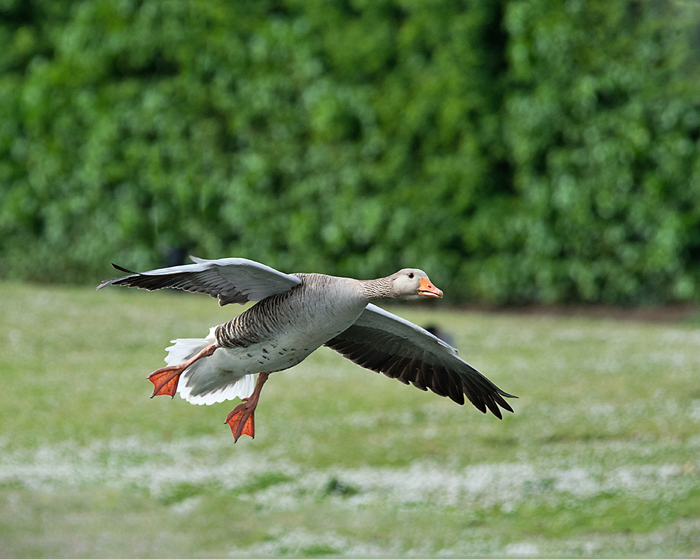 DSC_1280.jpg