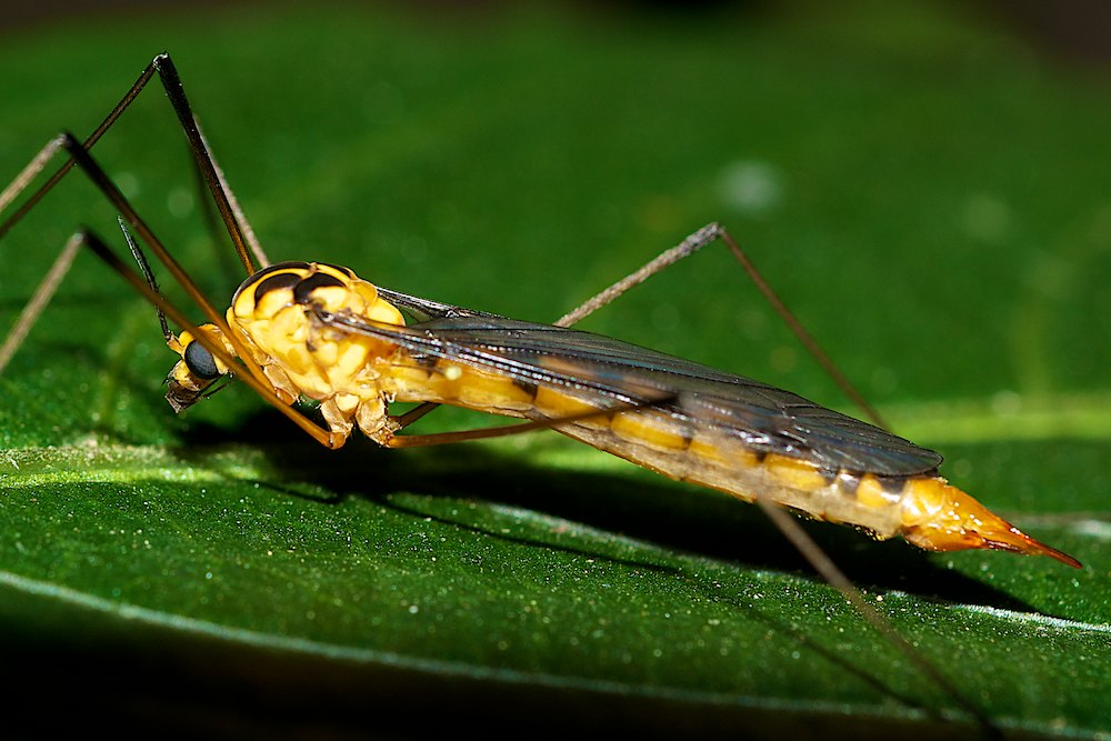 DSC_1280.jpg