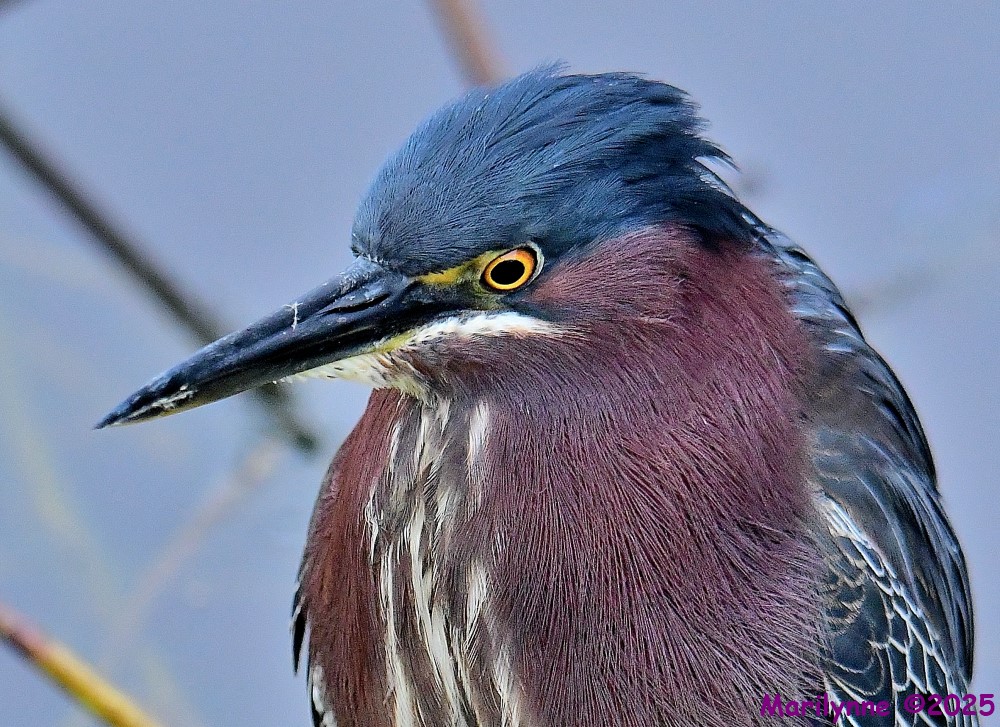 DSC_1280_001.JPG