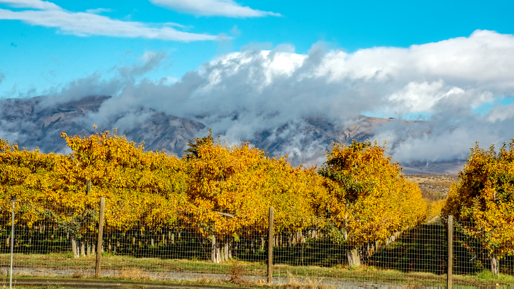 DSC_1289-HDR-Edit.jpg