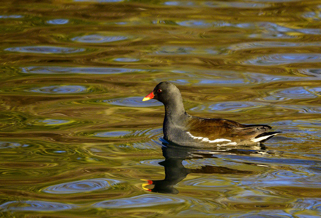 DSC_1289.jpg
