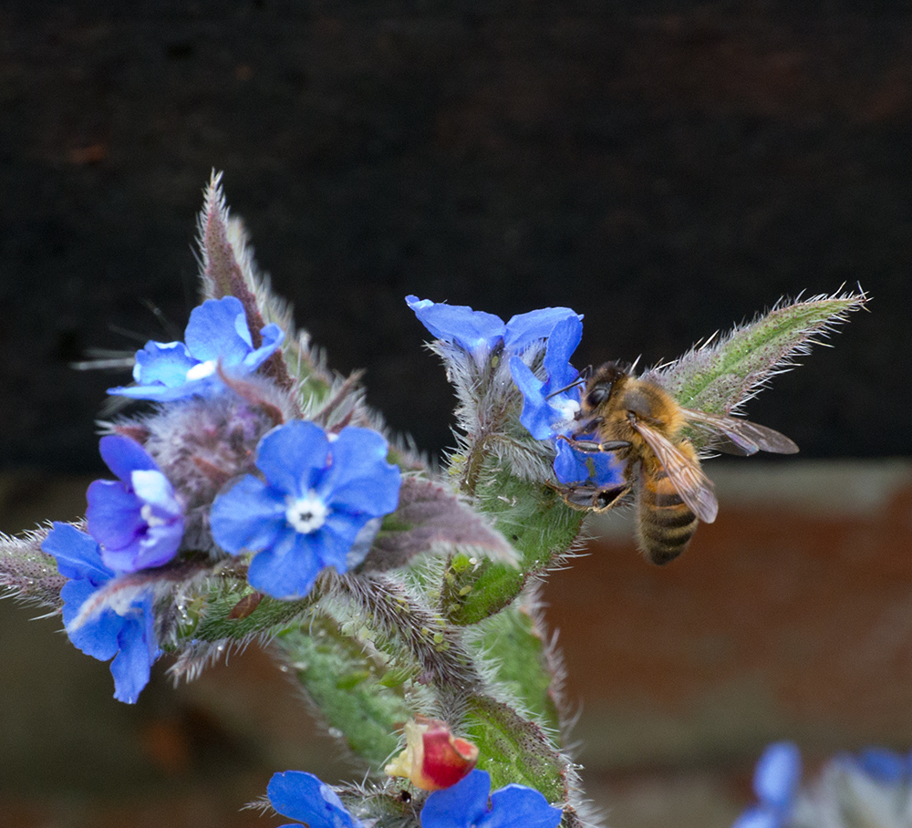 DSC_1290.jpg