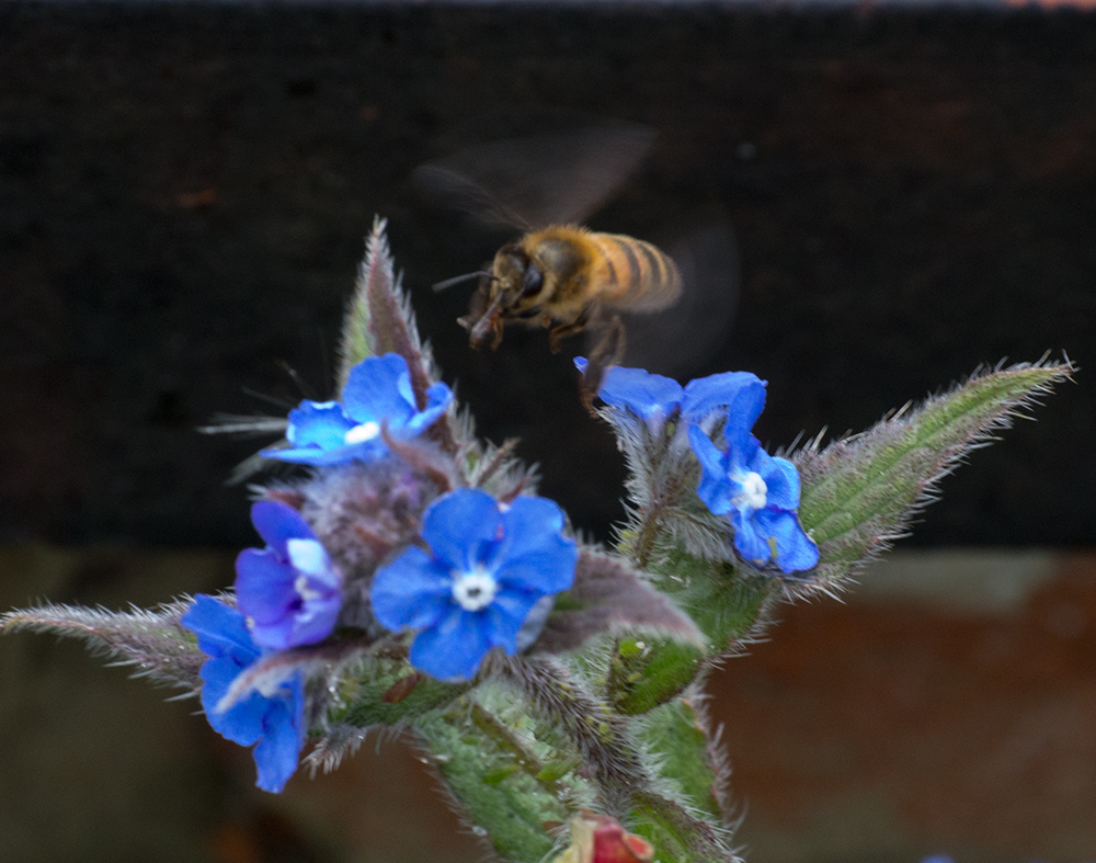 DSC_1291.jpg