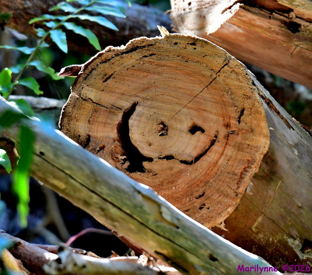 DSC_1292_001.JPG