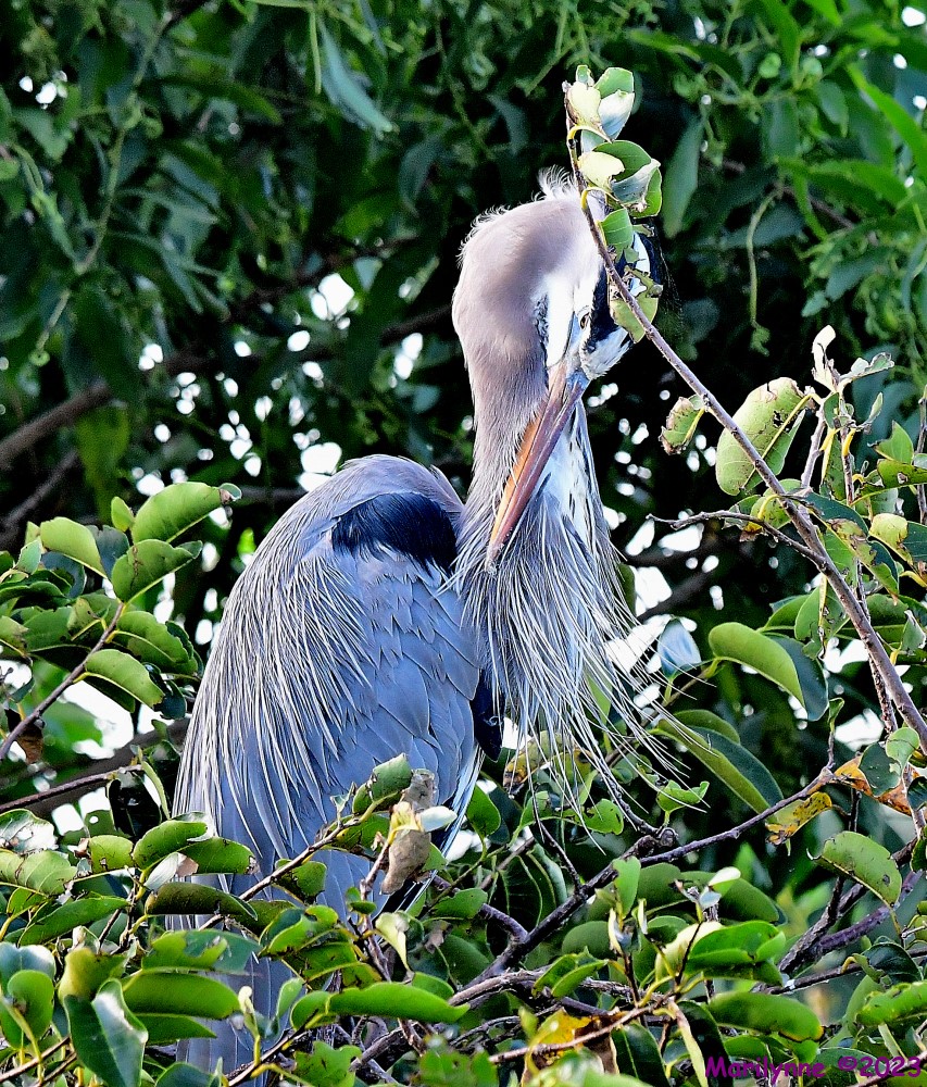 DSC_1294_001.JPG