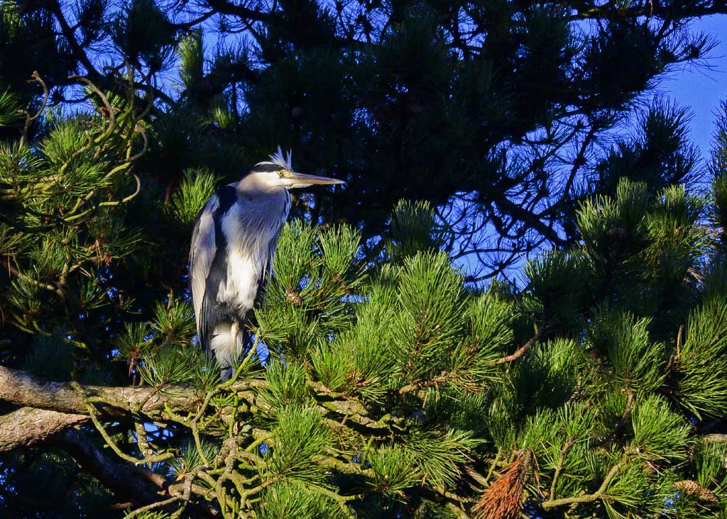 DSC_1296.jpg