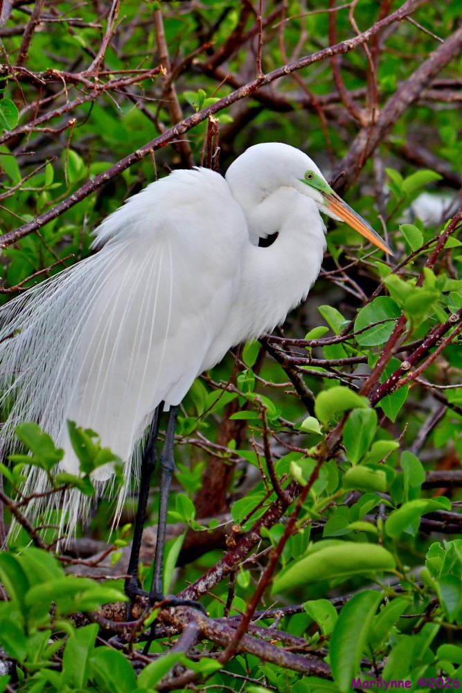 DSC_1296_001.JPG