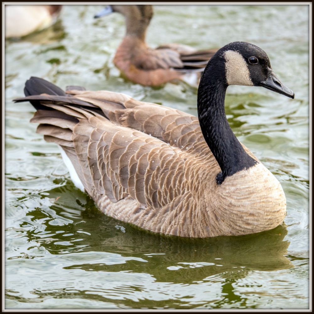 DSC_1298.jpg