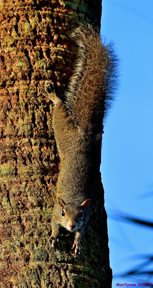 DSC_1298_001.JPG