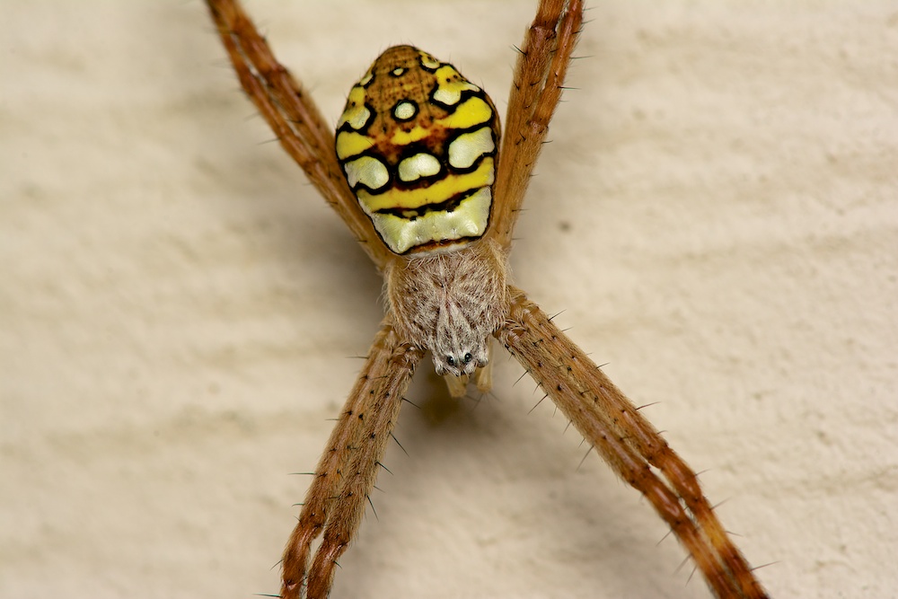 DSC_1301.jpg