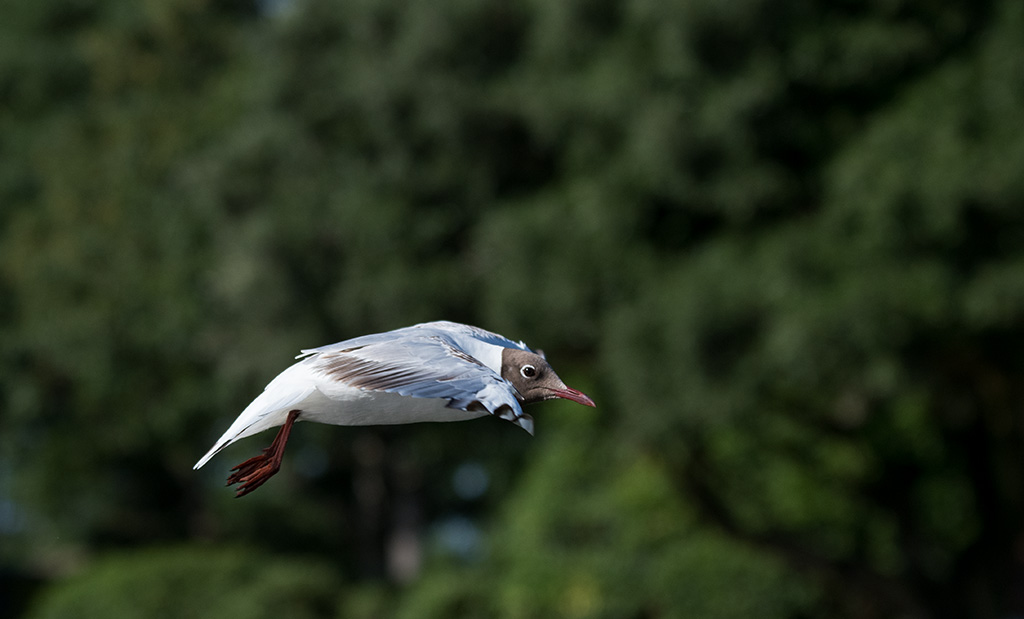 DSC_1301.jpg