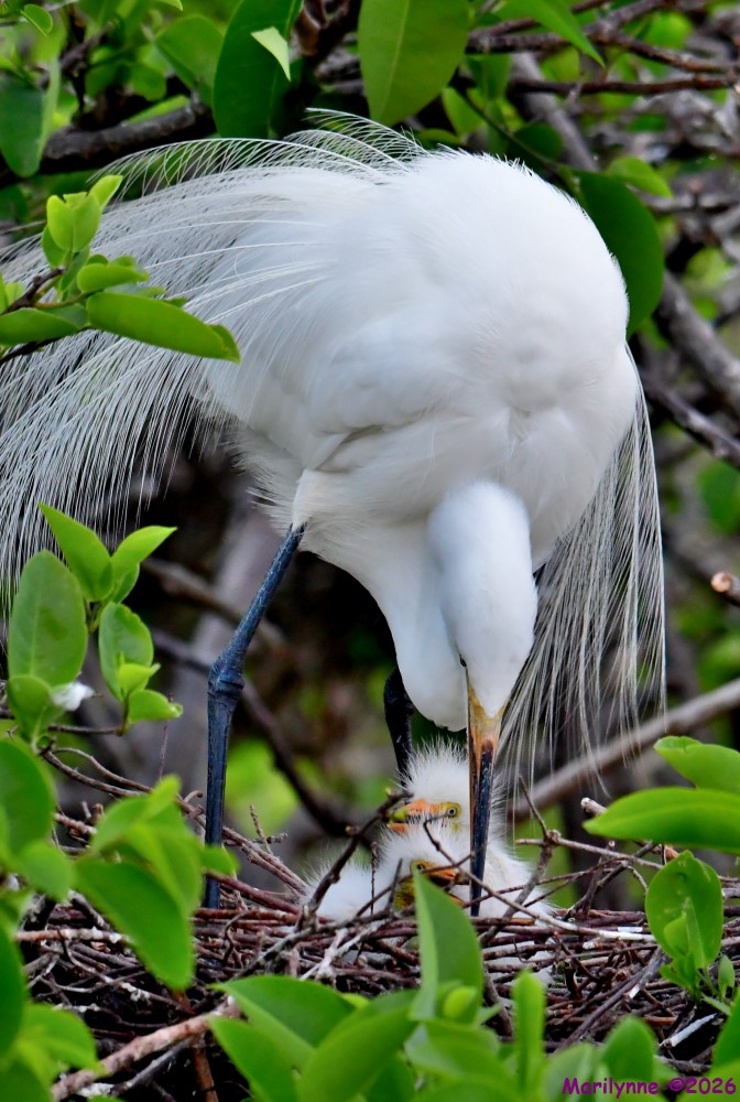 DSC_1301_001.JPG
