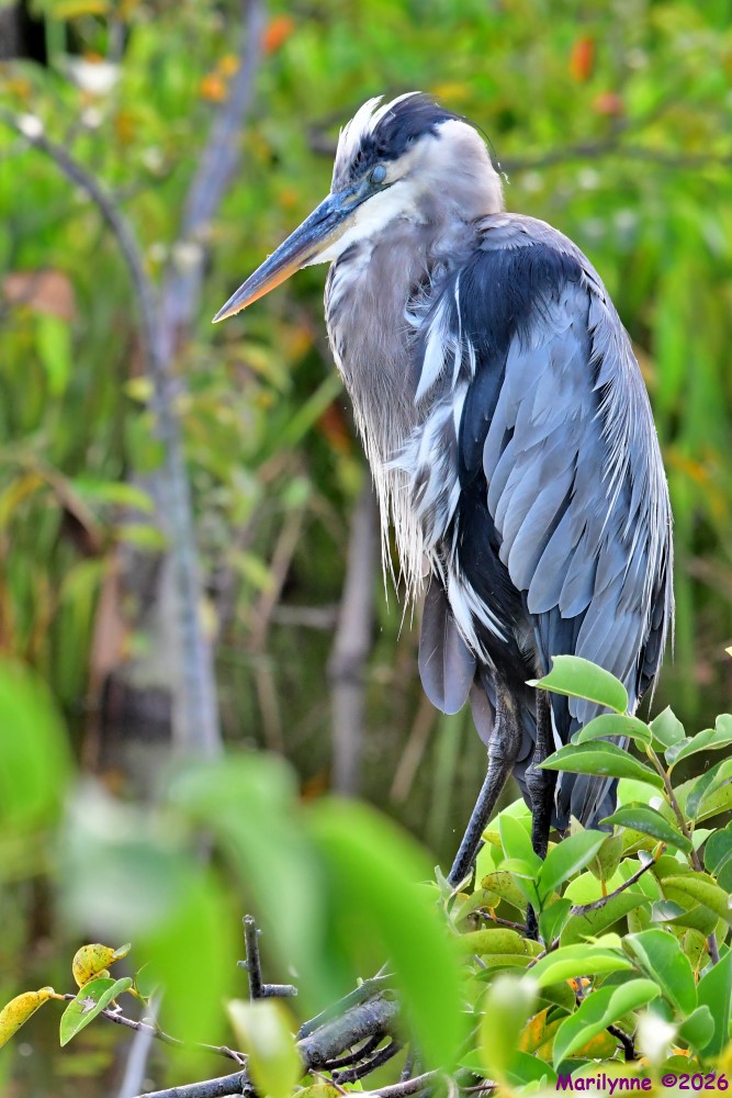 DSC_1301_001.JPG