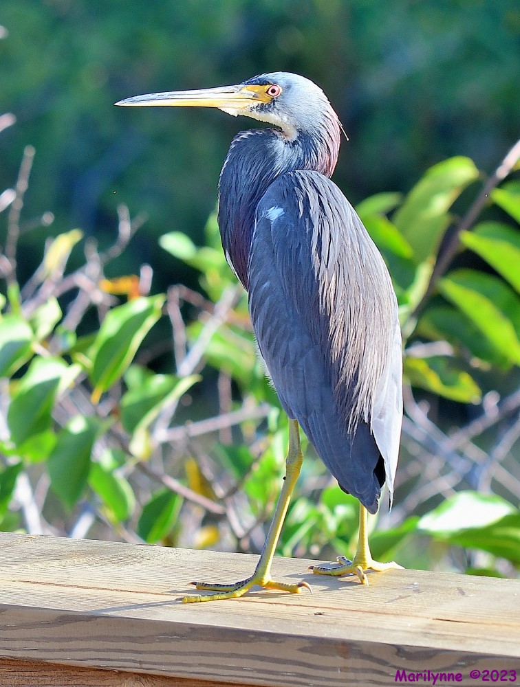 DSC_1306_001.JPG