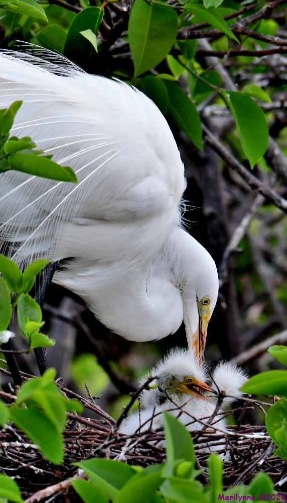 DSC_1307_001.JPG