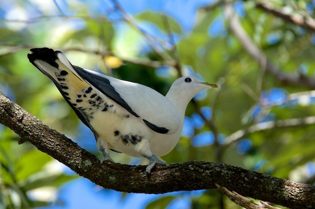 DSC_1308.jpg