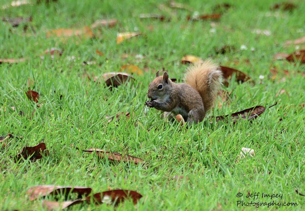 DSC_1311.jpg