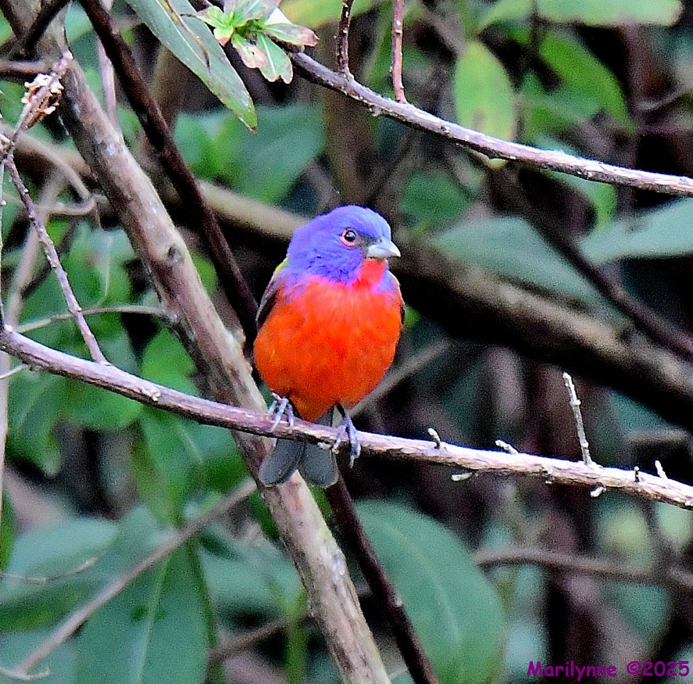 DSC_1312_001.JPG