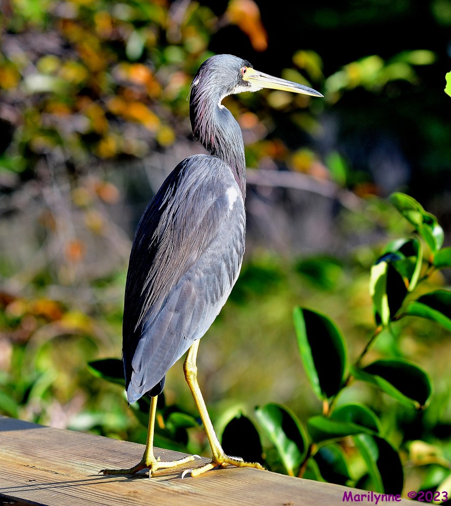 DSC_1313_stitch_001.JPG