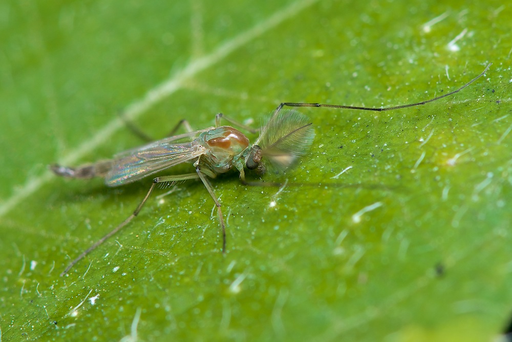 DSC_1314.jpg