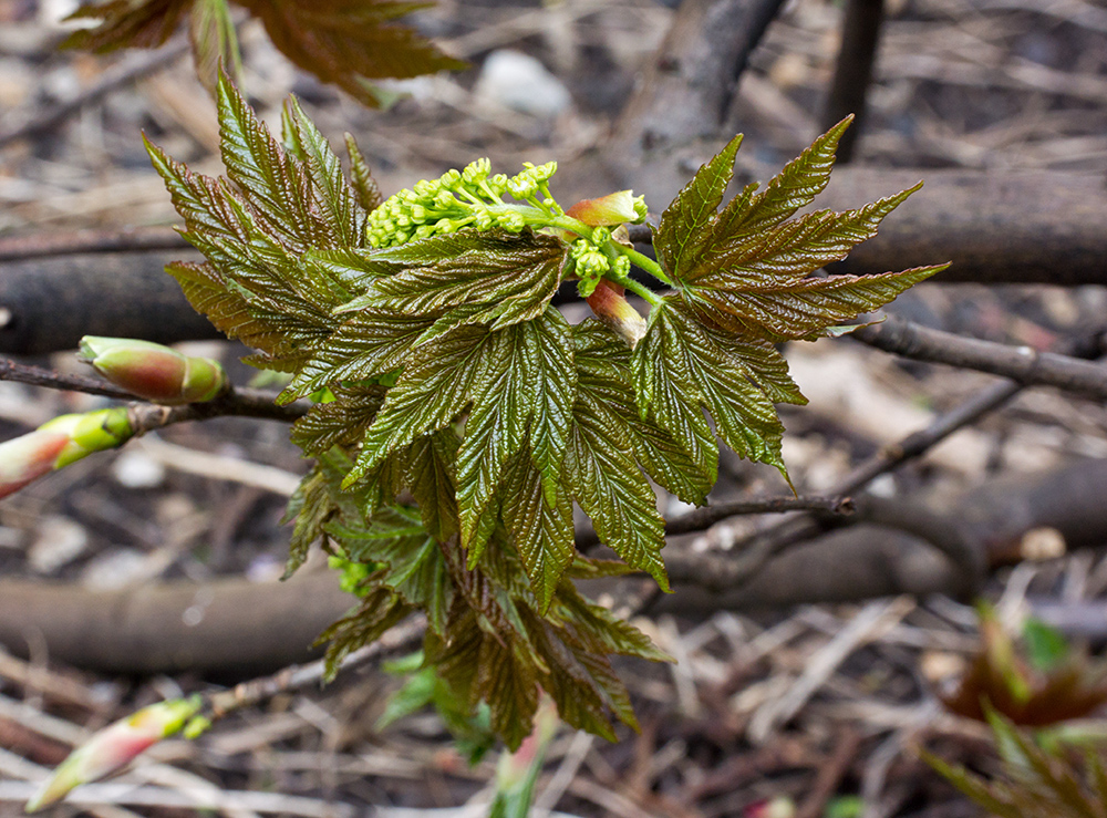DSC_1318.jpg