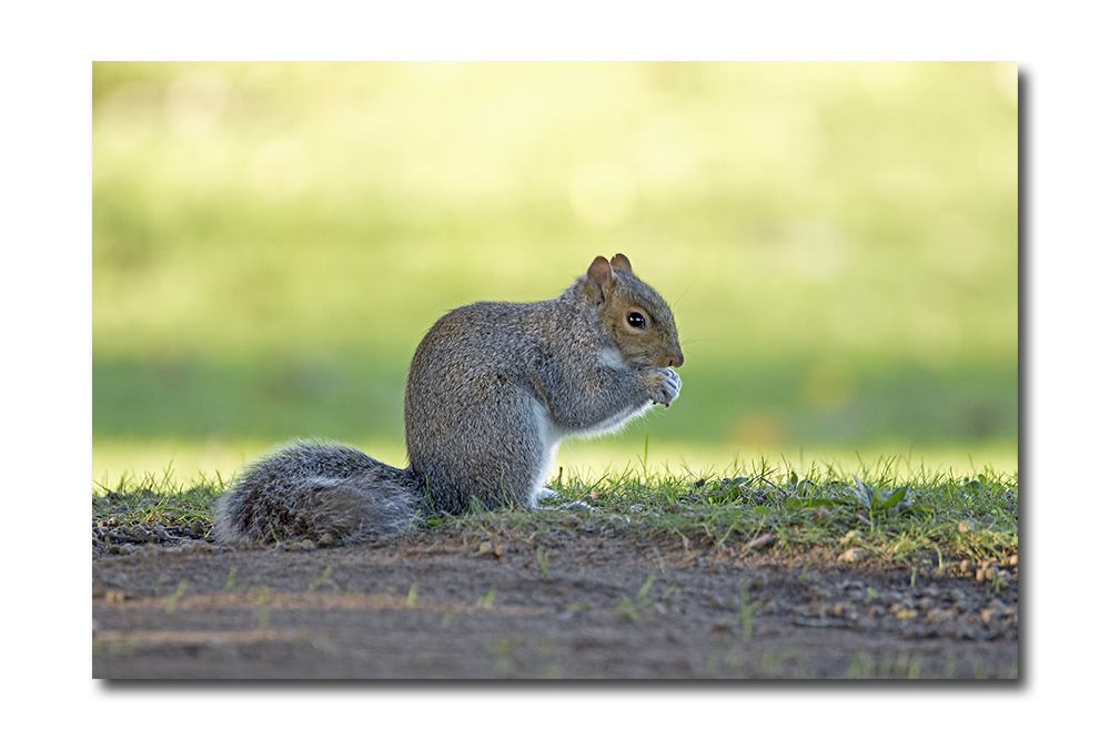 DSC_1318.jpg
