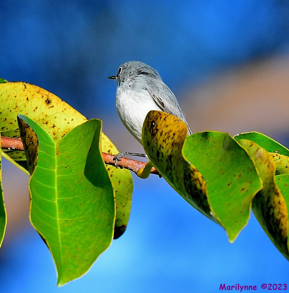 DSC_1319_001.JPG