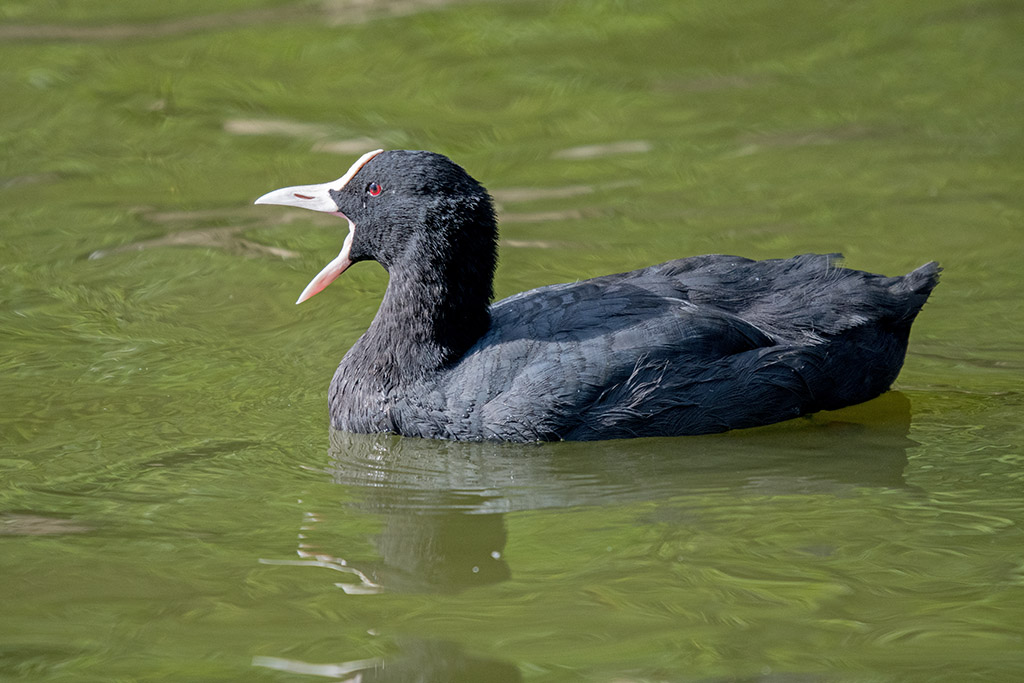 DSC_1322.jpg