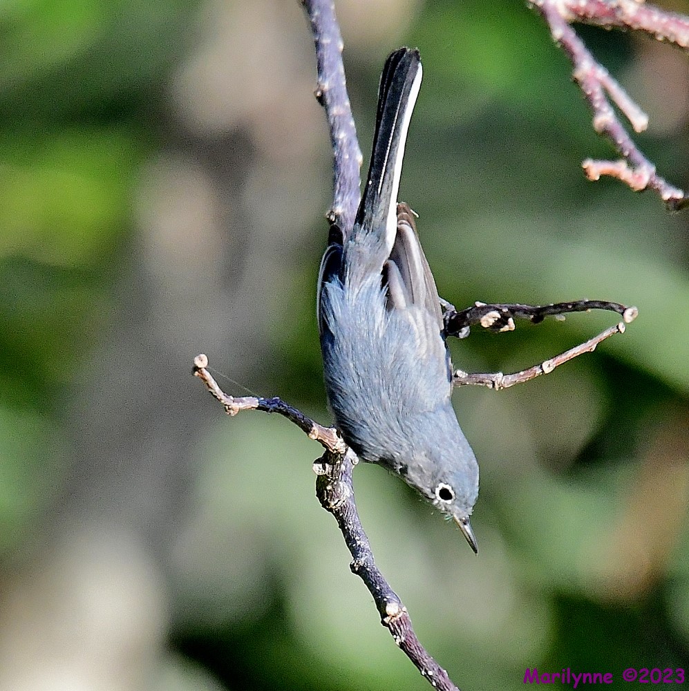DSC_1322_001.JPG