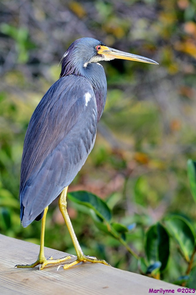 DSC_1324_001.JPG