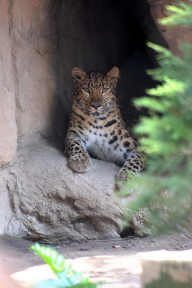 DSC_1324_01.JPG