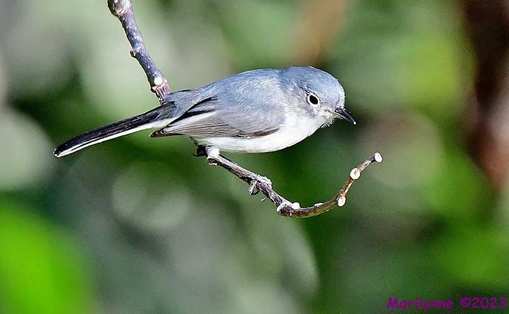DSC_1326_001.JPG