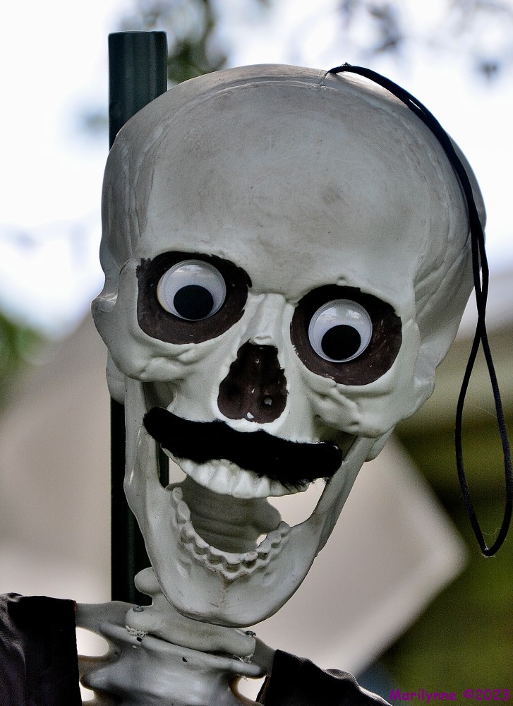 DSC_1327_001.JPG