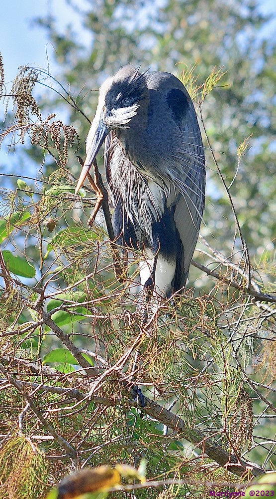 DSC_1327_001.JPG
